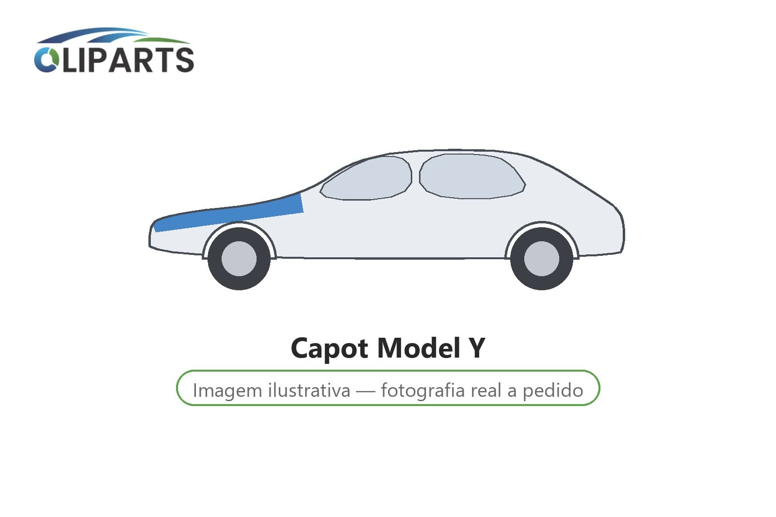 Capot Model Y
